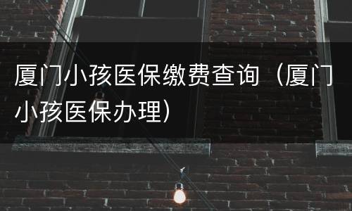 厦门小孩医保缴费查询（厦门小孩医保办理）