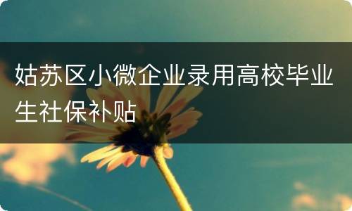 姑苏区小微企业录用高校毕业生社保补贴