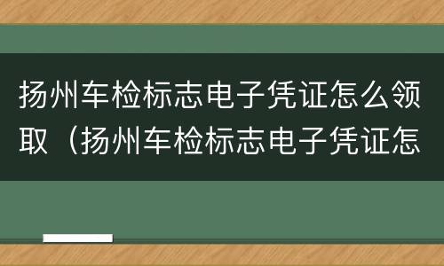 扬州车检标志电子凭证怎么领取（扬州车检标志电子凭证怎么领取的）