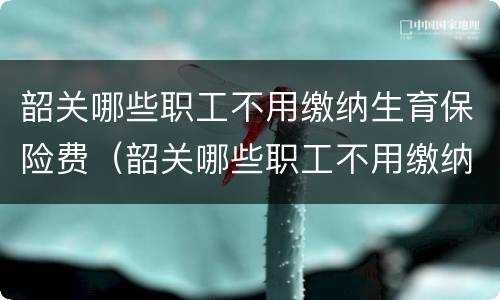 韶关哪些职工不用缴纳生育保险费（韶关哪些职工不用缴纳生育保险费用）