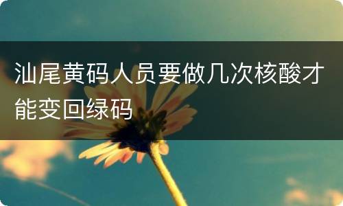 汕尾黄码人员要做几次核酸才能变回绿码