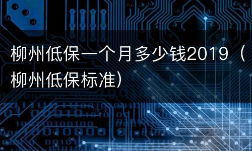 柳州低保一个月多少钱2019（柳州低保标准）