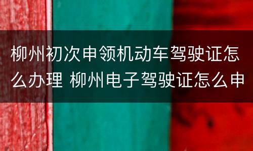 柳州初次申领机动车驾驶证怎么办理 柳州电子驾驶证怎么申请