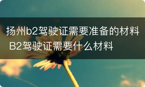 扬州b2驾驶证需要准备的材料 B2驾驶证需要什么材料