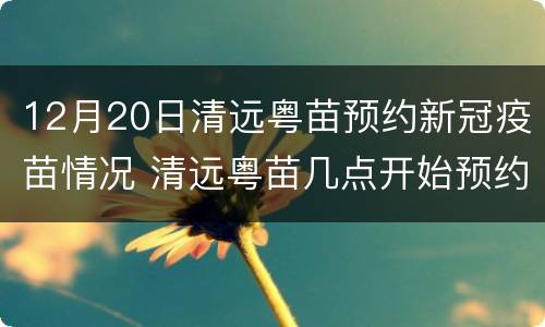 12月20日清远粤苗预约新冠疫苗情况 清远粤苗几点开始预约新冠疫苗