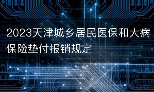 2023天津城乡居民医保和大病保险垫付报销规定