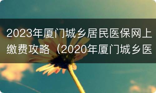 2023年厦门城乡居民医保网上缴费攻略（2020年厦门城乡医保缴费时间）