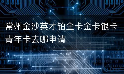 常州金沙英才铂金卡金卡银卡青年卡去哪申请
