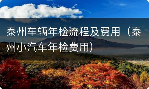 泰州车辆年检流程及费用（泰州小汽车年检费用）