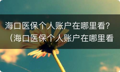 海口医保个人账户在哪里看？（海口医保个人账户在哪里看）
