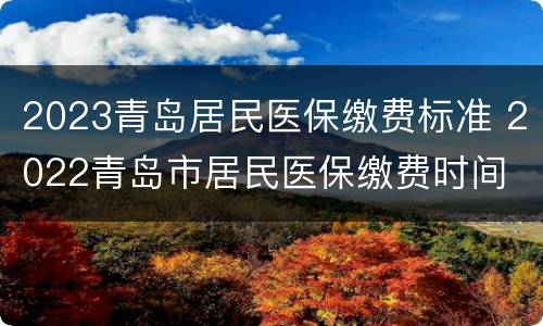 2023青岛居民医保缴费标准 2022青岛市居民医保缴费时间