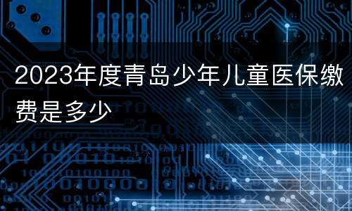 2023年度青岛少年儿童医保缴费是多少