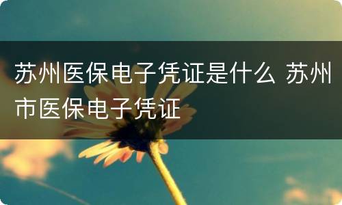 苏州医保电子凭证是什么 苏州市医保电子凭证