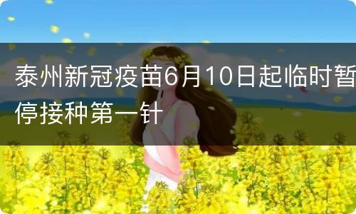 泰州新冠疫苗6月10日起临时暂停接种第一针