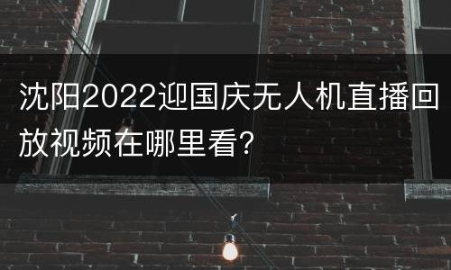 沈阳2022迎国庆无人机直播回放视频在哪里看？