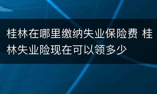 桂林在哪里缴纳失业保险费 桂林失业险现在可以领多少