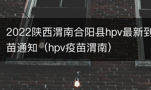 2022陕西渭南合阳县hpv最新到苗通知（hpv疫苗渭南）