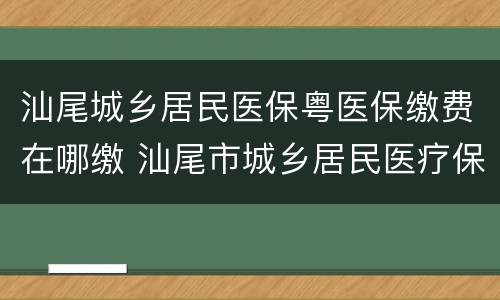 汕尾城乡居民医保粤医保缴费在哪缴 汕尾市城乡居民医疗保险缴费