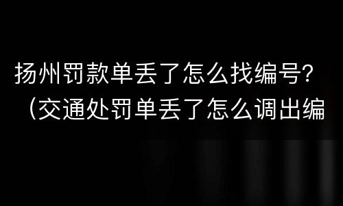 扬州罚款单丢了怎么找编号？（交通处罚单丢了怎么调出编号）