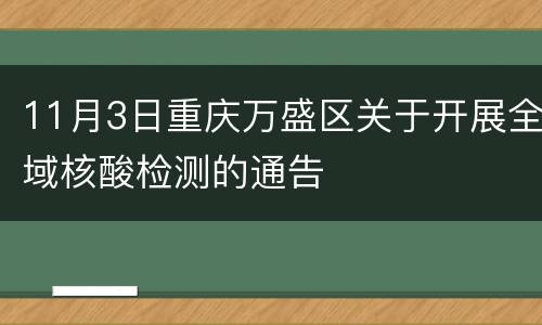 11月3日重庆万盛区关于开展全域核酸检测的通告