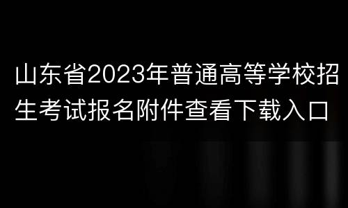 山东省2023年普通高等学校招生考试报名附件查看下载入口