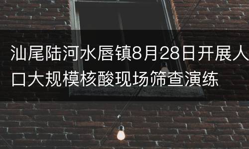 汕尾陆河水唇镇8月28日开展人口大规模核酸现场筛查演练