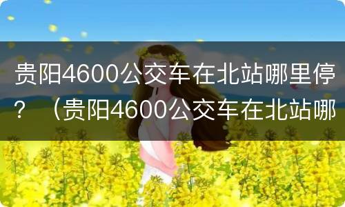 贵阳4600公交车在北站哪里停？（贵阳4600公交车在北站哪里停）