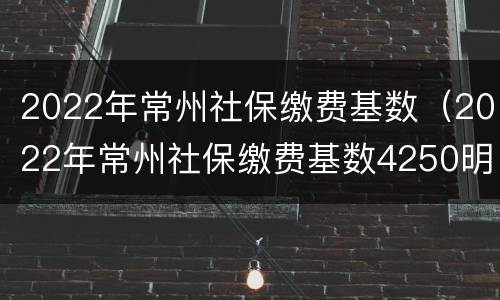 2022年常州社保缴费基数（2022年常州社保缴费基数4250明细表）