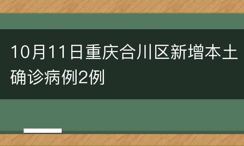 10月11日重庆合川区新增本土确诊病例2例