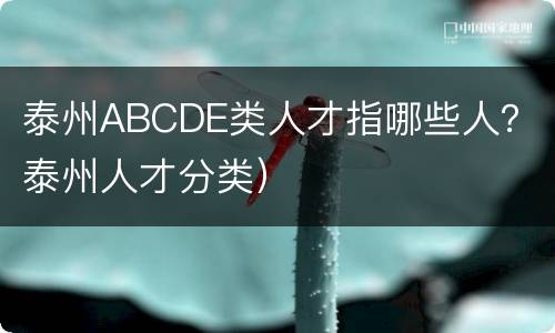 泰州ABCDE类人才指哪些人？（泰州人才分类）