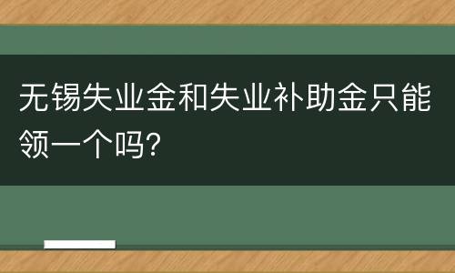 无锡失业金和失业补助金只能领一个吗？