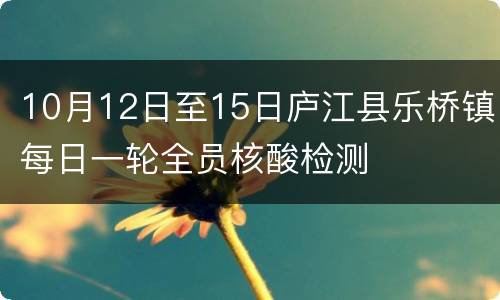 10月12日至15日庐江县乐桥镇每日一轮全员核酸检测