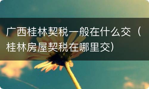 广西桂林契税一般在什么交（桂林房屋契税在哪里交）