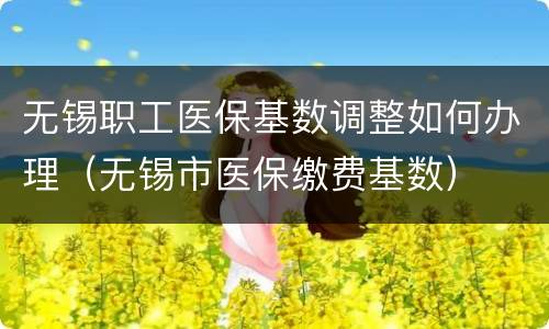 无锡职工医保基数调整如何办理（无锡市医保缴费基数）