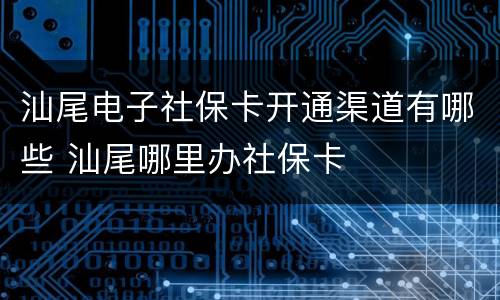 汕尾电子社保卡开通渠道有哪些 汕尾哪里办社保卡