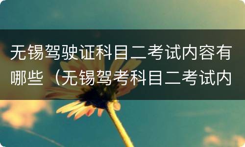 无锡驾驶证科目二考试内容有哪些（无锡驾考科目二考试内容有哪些）