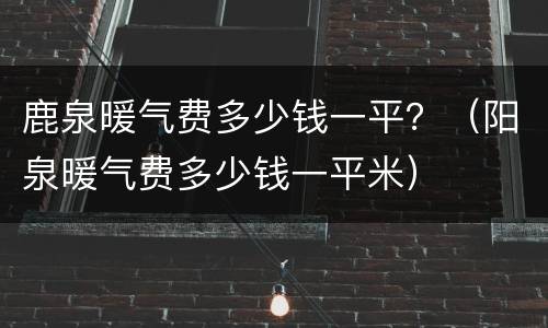 鹿泉暖气费多少钱一平？（阳泉暖气费多少钱一平米）