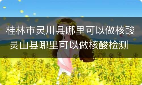 桂林市灵川县哪里可以做核酸 灵山县哪里可以做核酸检测
