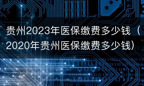 贵州2023年医保缴费多少钱（2020年贵州医保缴费多少钱）