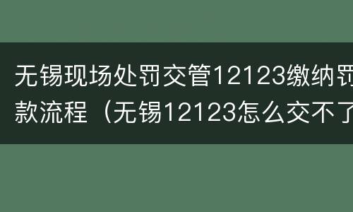 无锡现场处罚交管12123缴纳罚款流程（无锡12123怎么交不了罚款）