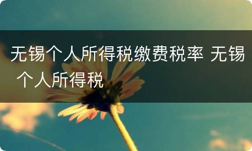 无锡个人所得税缴费税率 无锡 个人所得税