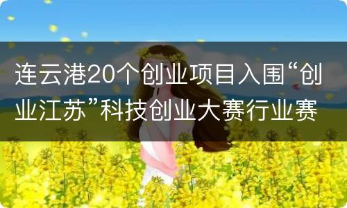 连云港20个创业项目入围“创业江苏”科技创业大赛行业赛