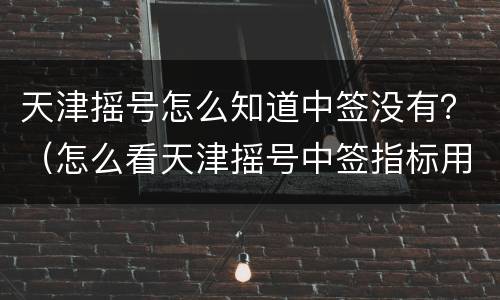 天津摇号怎么知道中签没有？（怎么看天津摇号中签指标用没用）