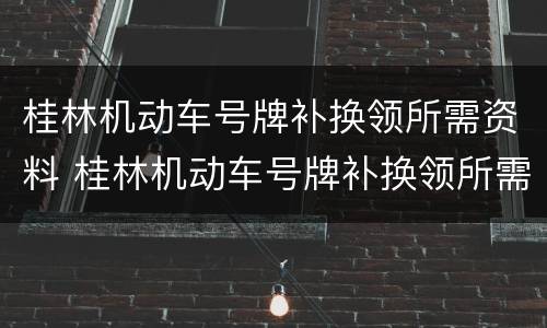 桂林机动车号牌补换领所需资料 桂林机动车号牌补换领所需资料有哪些