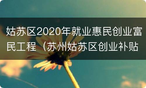 姑苏区2020年就业惠民创业富民工程（苏州姑苏区创业补贴政策2020）