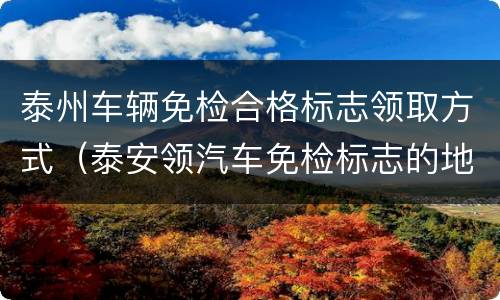 泰州车辆免检合格标志领取方式（泰安领汽车免检标志的地方）