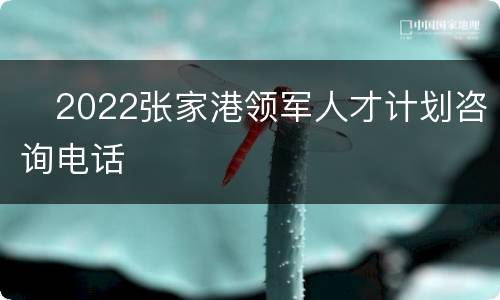​2022张家港领军人才计划咨询电话