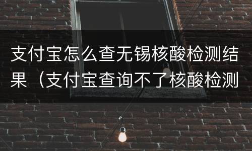 支付宝怎么查无锡核酸检测结果（支付宝查询不了核酸检测）