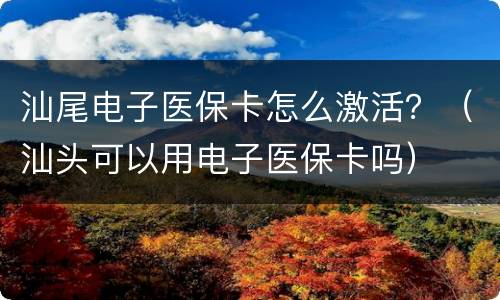 汕尾电子医保卡怎么激活？（汕头可以用电子医保卡吗）