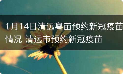 1月14日清远粤苗预约新冠疫苗情况 清远市预约新冠疫苗